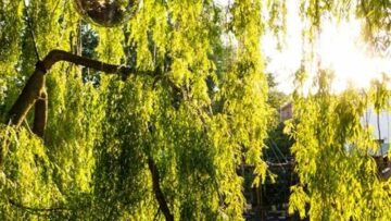 Felix Hk @ Club Der Visionaere 06.06.2021