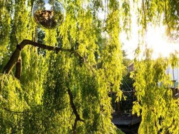 Felix Hk @ Club Der Visionaere 06.06.2021