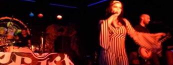 Panda live im Sage Club Berlin – Baumhaus