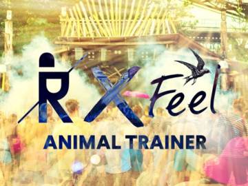 Animal Trainer I DJ-Set at EXIT Stage Feel Festival 2017
