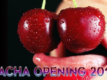 PACHA OPENING IBIZA 2018