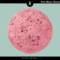 Miyagi – Pink Moon (Kotelett & Zadak Remix) [Ritter Butzke