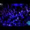 FATMAN SCOOP @ BOOTSHAUS 14.06.2013 / HOUSEFULL COLOGNE / TRAILER