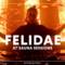 Felidae at Sauna Sessions by Ritter Butzke