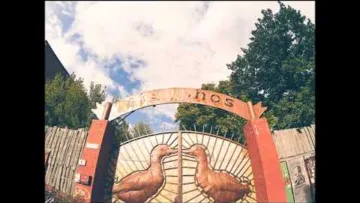 Boy Next Door – Sisyphos – Hammahalle 07 – 07