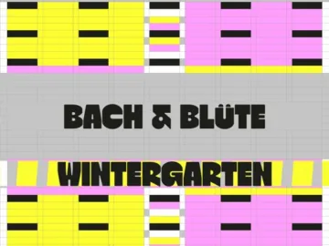 Bach & Blüte – Bei Nacht