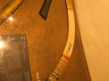 Egyptian boomerang