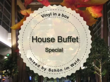 House Buffet Special – Vinyl in a box — mixed