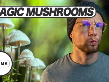 Magic Mushrooms, Zauberpilze – wie wirken sie? Sind die gefährlich?