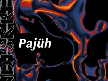 Pajuh | DISKRET @ Watergate Berlin | 14.03.2024