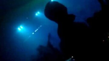 feed me – trapdoor live köln bootshaus