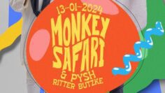 PYSH (dj Set) @ Ritter Butzke W. Monkey Safari (closing