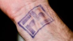 Berghain/Panoramabar