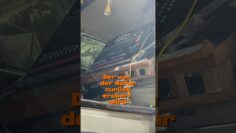 #linabo #odonien #lagerfeuerdeluxe #kölle #akustik