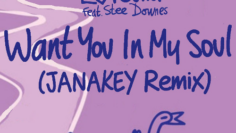 Lovebirds – Want You In My Soul ft. Stee Downes