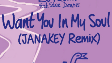 Lovebirds – Want You In My Soul ft. Stee Downes