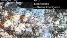 Messiahwaits @ Tresor Berlin, Deutschland [23:00-03:00] (29.03.2024)