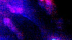 Tiefenherz – Jump on Snow Festival