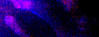 Tiefenherz – Jump on Snow Festival