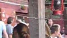 The Nacho Brothers Vol.7: Visionäre