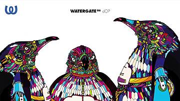 Watergate 06 – dOP